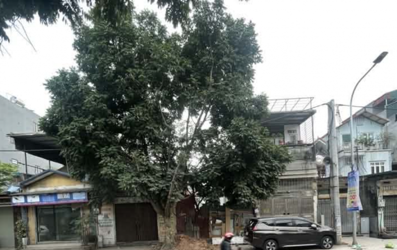 BÁN NHÀ MẶT PHỐ PHAN ĐĂNG LƯU – ĐẤT 2 MẶT ĐƯỜNG – KINH DOANH CỰC TỐT